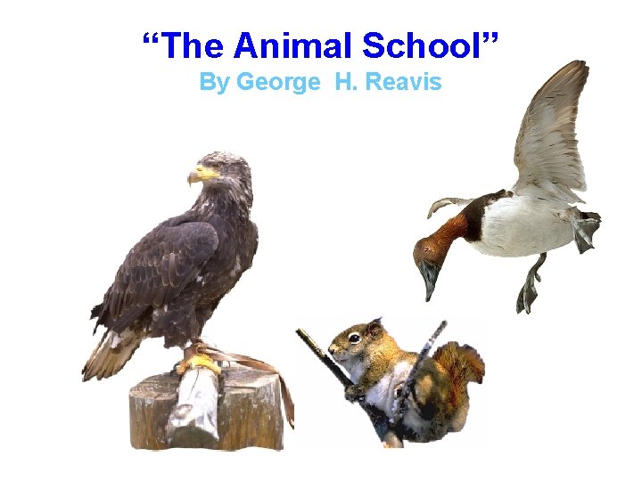 “The Animal School” By George H. Reavis 