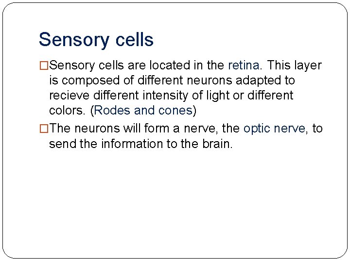 Sensory cells �Sensory cells are located in the retina. This layer is composed of