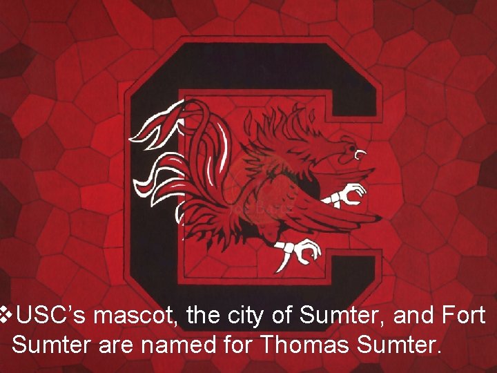 v. USC’s mascot, the city of Sumter, and Fort Sumter are named for Thomas