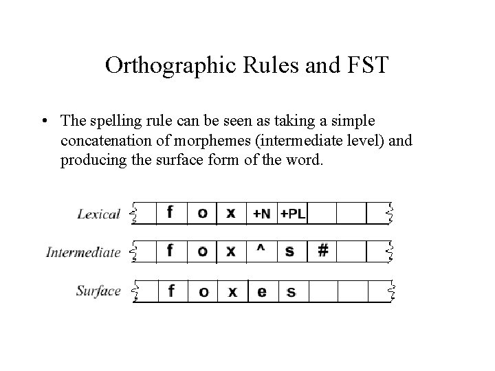 Orthographic Rules and FST • The spelling rule can be seen as taking a