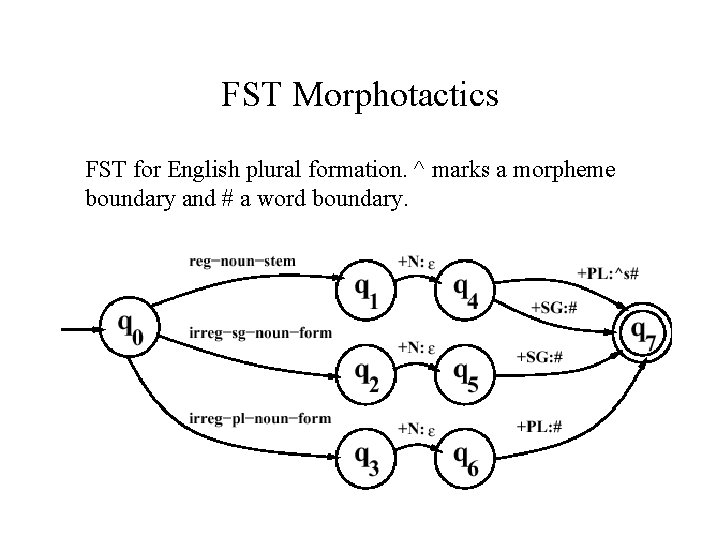 FST Morphotactics FST for English plural formation. ^ marks a morpheme boundary and #