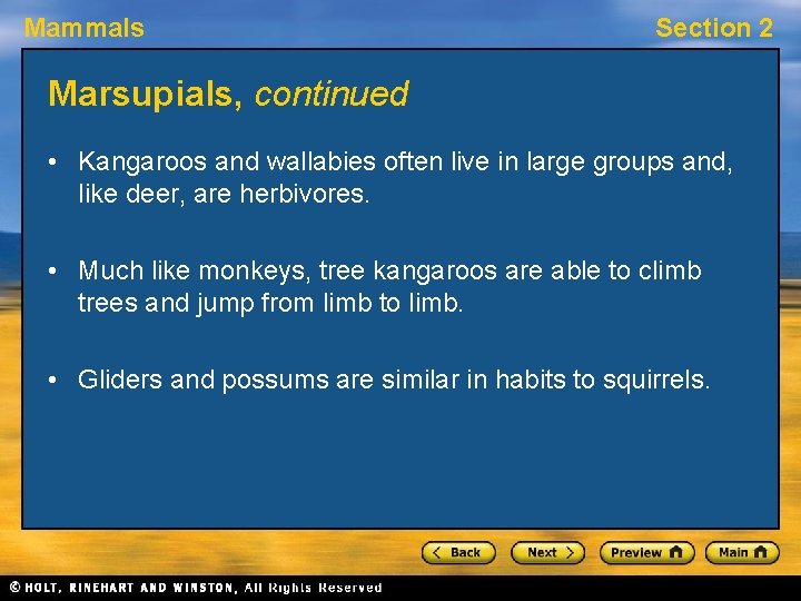 Mammals Section 2 Marsupials, continued • Kangaroos and wallabies often live in large groups