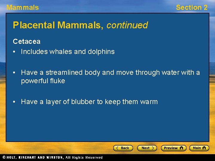 Mammals Section 2 Placental Mammals, continued Cetacea • Includes whales and dolphins • Have