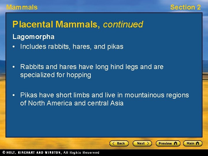 Mammals Section 2 Placental Mammals, continued Lagomorpha • Includes rabbits, hares, and pikas •