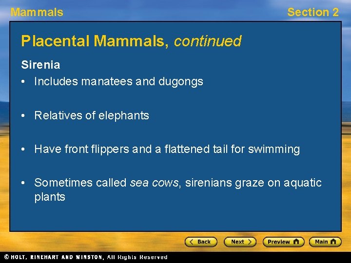 Mammals Section 2 Placental Mammals, continued Sirenia • Includes manatees and dugongs • Relatives