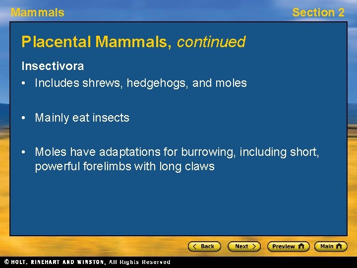 Mammals Section 2 Placental Mammals, continued Insectivora • Includes shrews, hedgehogs, and moles •