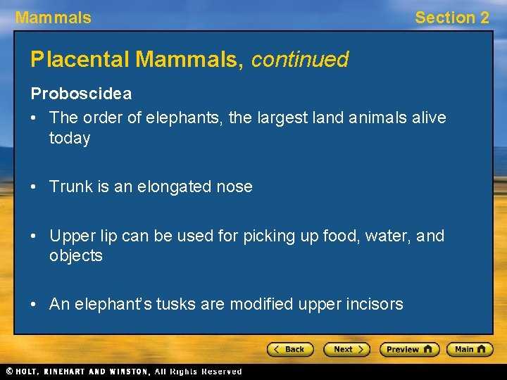 Mammals Section 2 Placental Mammals, continued Proboscidea • The order of elephants, the largest