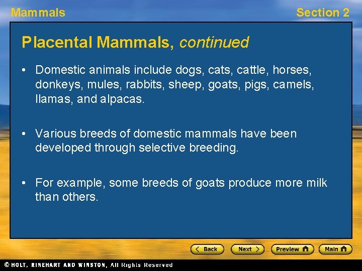 Mammals Section 2 Placental Mammals, continued • Domestic animals include dogs, cattle, horses, donkeys,