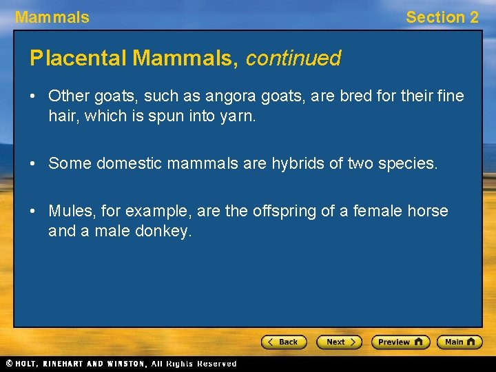 Mammals Section 2 Placental Mammals, continued • Other goats, such as angora goats, are