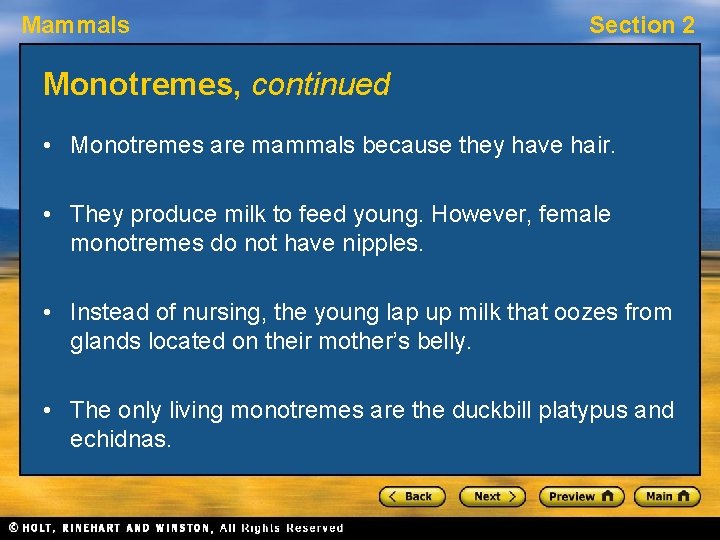 Mammals Section 2 Monotremes, continued • Monotremes are mammals because they have hair. •