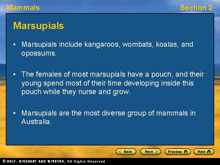 Mammals Section 2 Marsupials • Marsupials include kangaroos, wombats, koalas, and opossums. • The