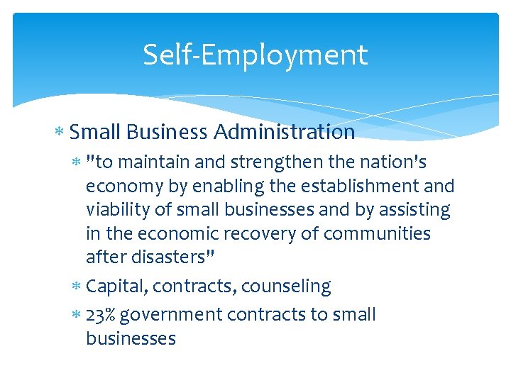 Self-Employment Small Business Administration "to maintain and strengthen the nation's economy by enabling the