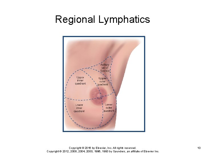 Regional Lymphatics Copyright © 2016 by Elsevier, Inc. All rights reserved. Copyright © 2012,