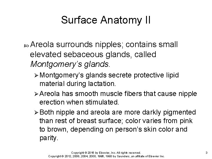 Surface Anatomy II Areola surrounds nipples; contains small elevated sebaceous glands, called Montgomery’s glands.