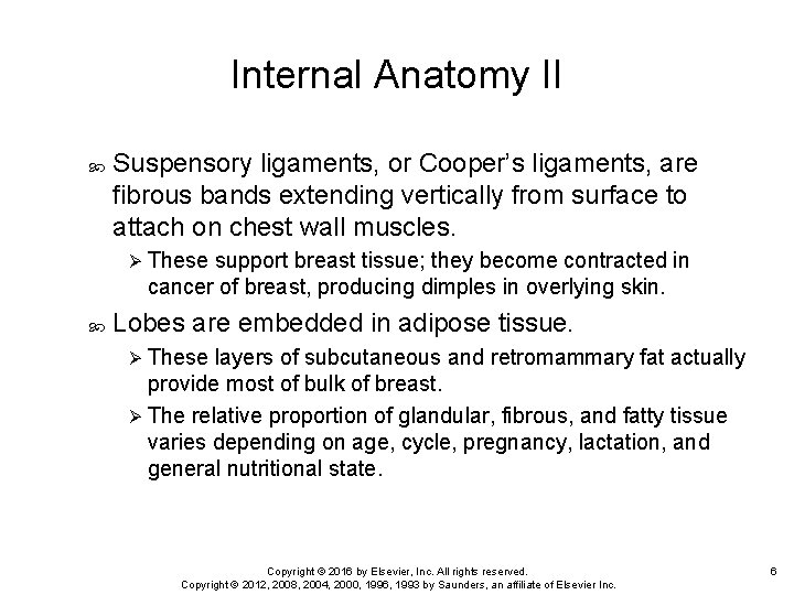 Internal Anatomy II Suspensory ligaments, or Cooper’s ligaments, are fibrous bands extending vertically from