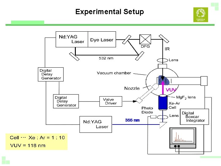 Experimental Setup 