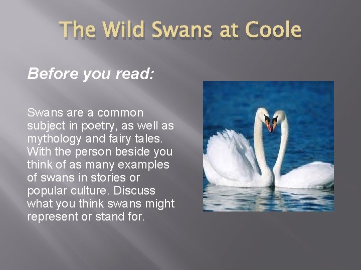The Wild Swans at Coole Before you read: Swans are a common subject in