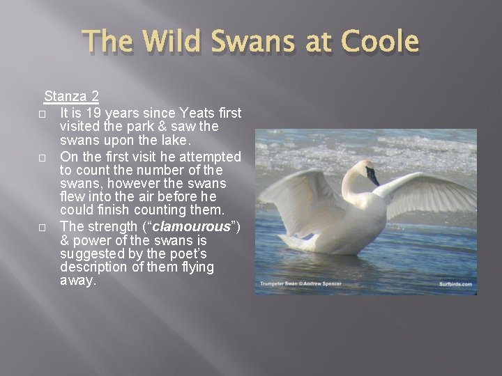 The Wild Swans at Coole Stanza 2 � It is 19 years since Yeats