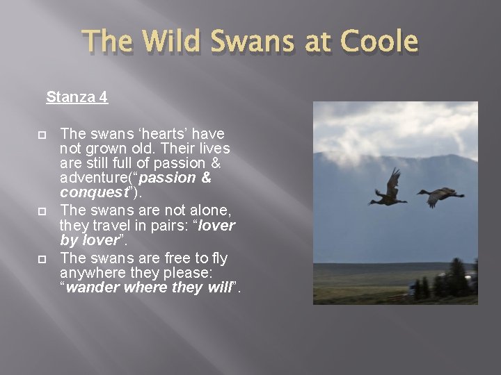 The Wild Swans at Coole Stanza 4 The swans ‘hearts’ have not grown old.