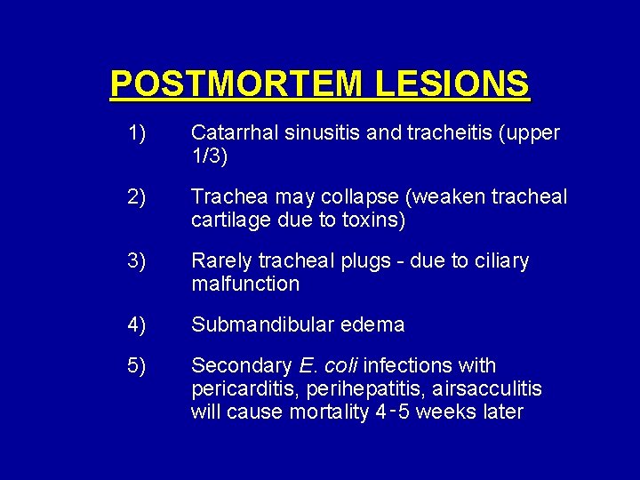 POSTMORTEM LESIONS 1) Catarrhal sinusitis and tracheitis (upper 1/3) 2) Trachea may collapse (weaken