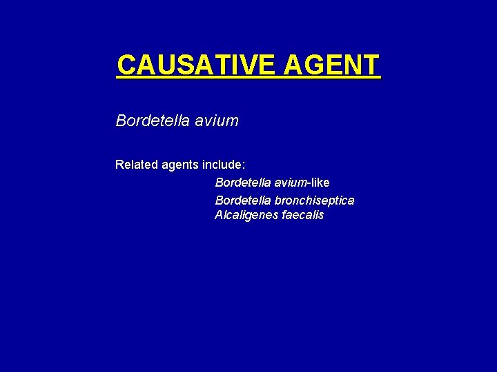 CAUSATIVE AGENT Bordetella avium Related agents include: Bordetella avium-like Bordetella bronchiseptica Alcaligenes faecalis 