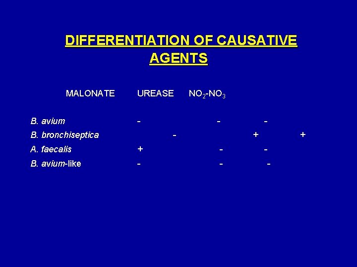  DIFFERENTIATION OF CAUSATIVE AGENTS MALONATE B. avium UREASE NO 2 -NO 3 -