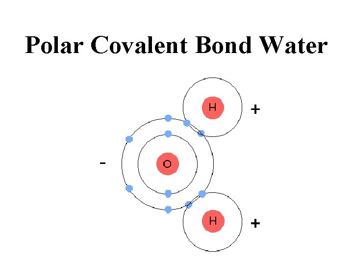 Polar Covalent Bond Water 