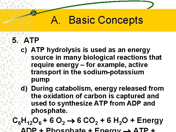 A. Basic Concepts 5. ATP c) ATP hydrolysis is used as an energy source