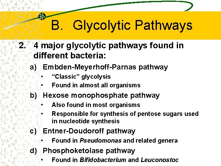 B. Glycolytic Pathways 2. 4 major glycolytic pathways found in different bacteria: a) Embden-Meyerhoff-Parnas