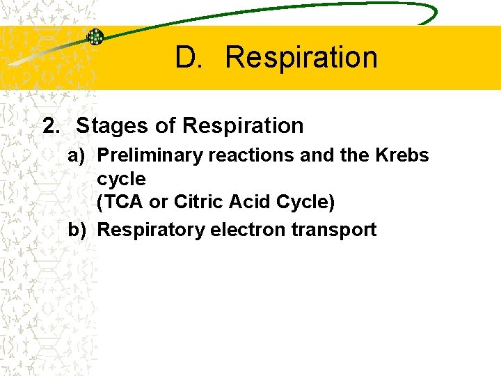 D. Respiration 2. Stages of Respiration a) Preliminary reactions and the Krebs cycle (TCA