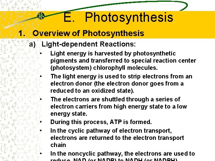 E. Photosynthesis 1. Overview of Photosynthesis a) Light-dependent Reactions: • • • Light energy