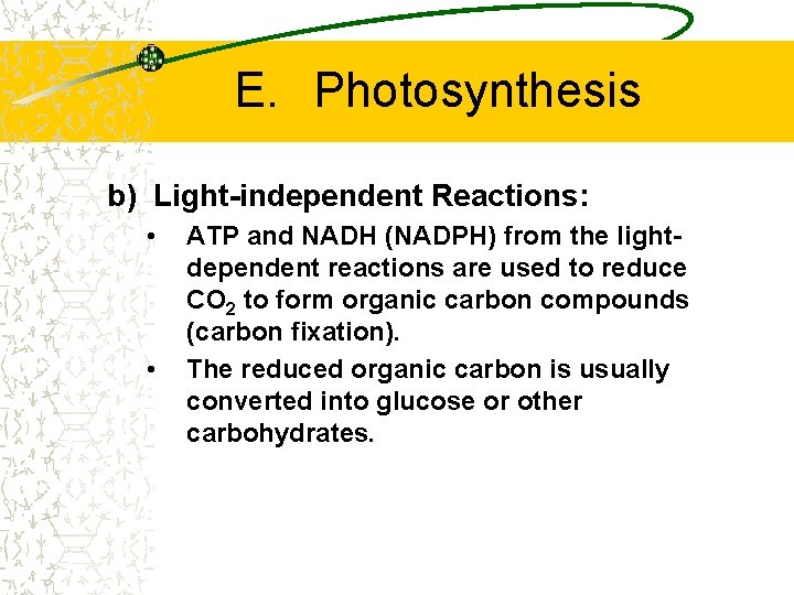 E. Photosynthesis b) Light-independent Reactions: • • ATP and NADH (NADPH) from the lightdependent