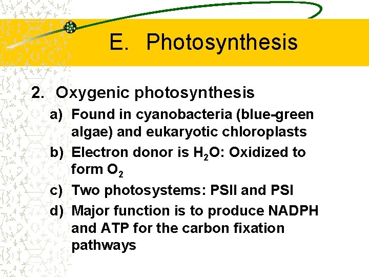 E. Photosynthesis 2. Oxygenic photosynthesis a) Found in cyanobacteria (blue-green algae) and eukaryotic chloroplasts