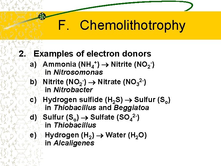 F. Chemolithotrophy 2. Examples of electron donors a) Ammonia (NH 4+) Nitrite (NO 2