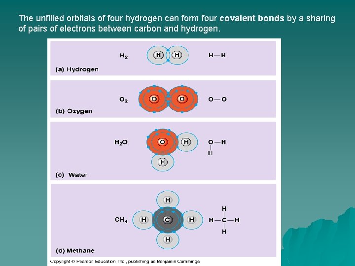 The unfilled orbitals of four hydrogen can form four covalent bonds by a sharing