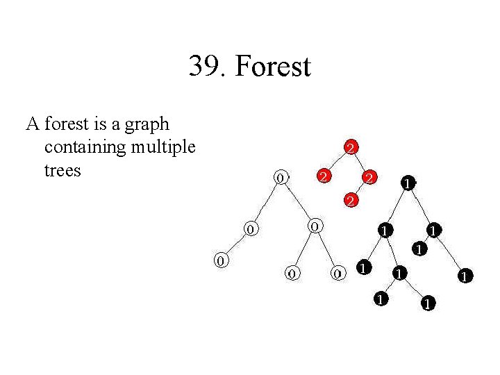 39. Forest A forest is a graph containing multiple trees 