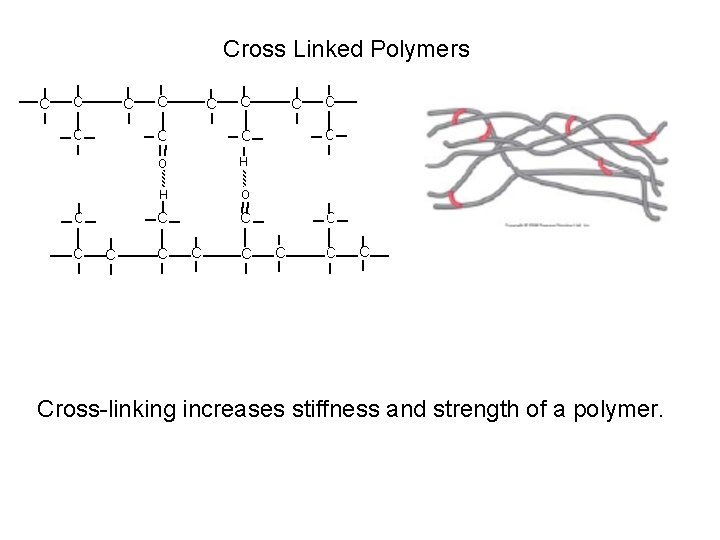 Cross Linked Polymers Cross-linking increases stiffness and strength of a polymer. 