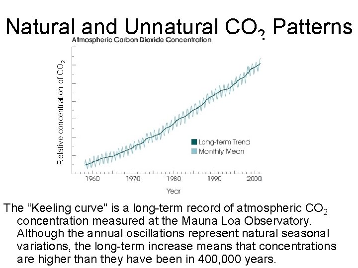 Relative concentration of CO 2 Natural and Unnatural CO 2 Patterns The “Keeling curve”