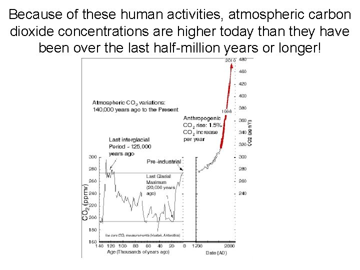Because of these human activities, atmospheric carbon dioxide concentrations are higher today than they