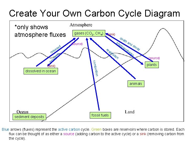 Create Your Own Carbon Cycle Diagram *only shows atmosphere fluxes (source) re sp ss