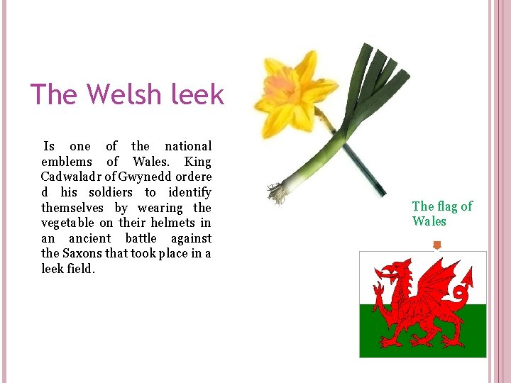 The Welsh leek Is one of the national emblems of Wales. King Cadwaladr of The Welsh leek Is one of the national emblems of Wales. King Cadwaladr of