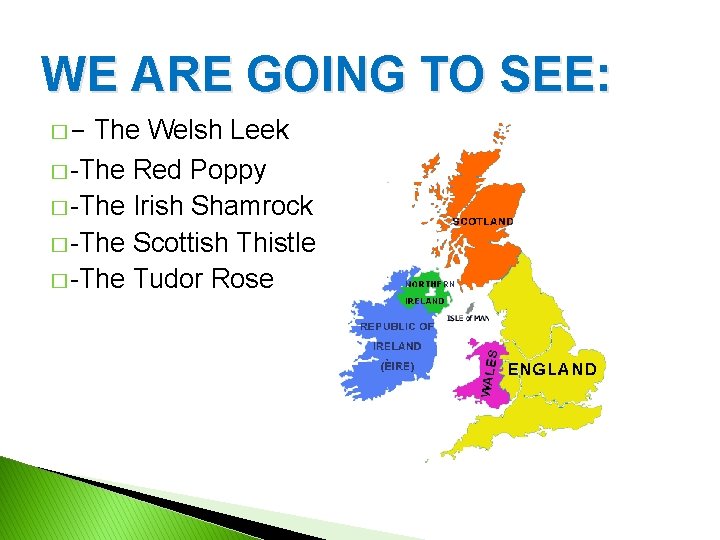 WE ARE GOING TO SEE: �- The Welsh Leek � -The Red Poppy �