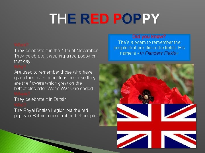 THE RED POPPY Did you know? When? They celebrate it in the 11 th