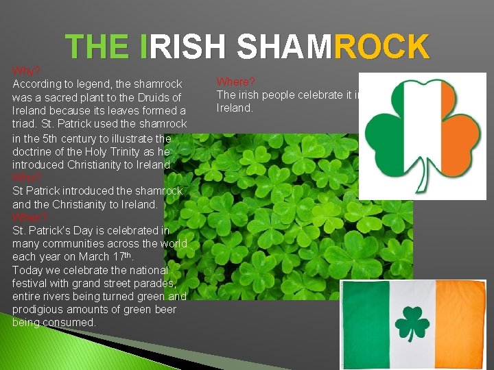 THE IRISH SHAMROCK Why? According to legend, the shamrock was a sacred plant to