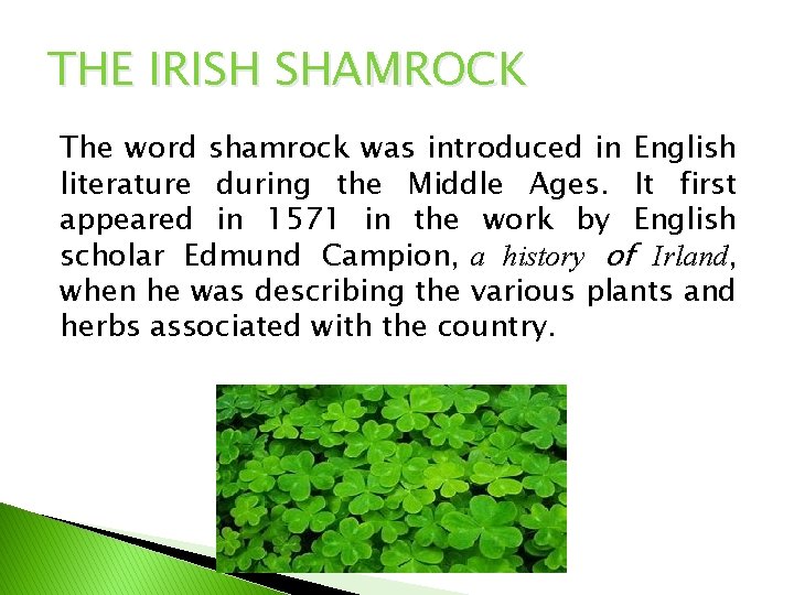 THE IRISH SHAMROCK The word shamrock was introduced in English literature during the Middle