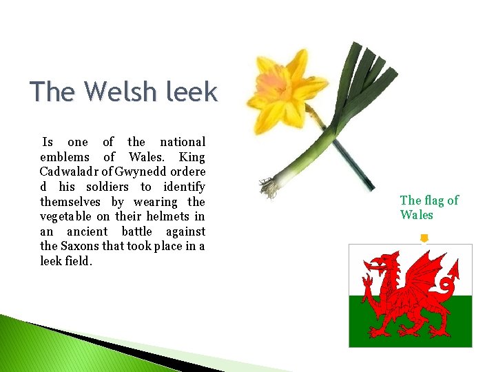 The Welsh leek Is one of the national emblems of Wales. King Cadwaladr of