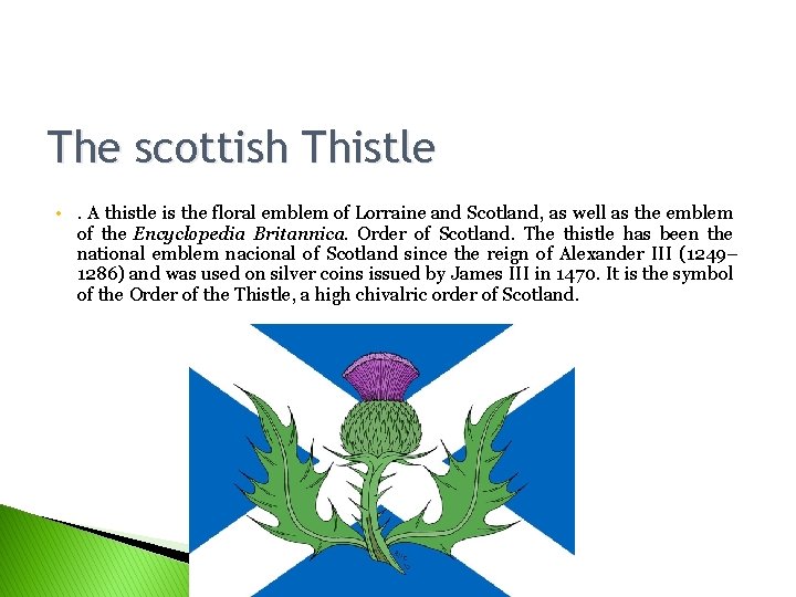 The scottish Thistle • . A thistle is the floral emblem of Lorraine and The scottish Thistle • . A thistle is the floral emblem of Lorraine and