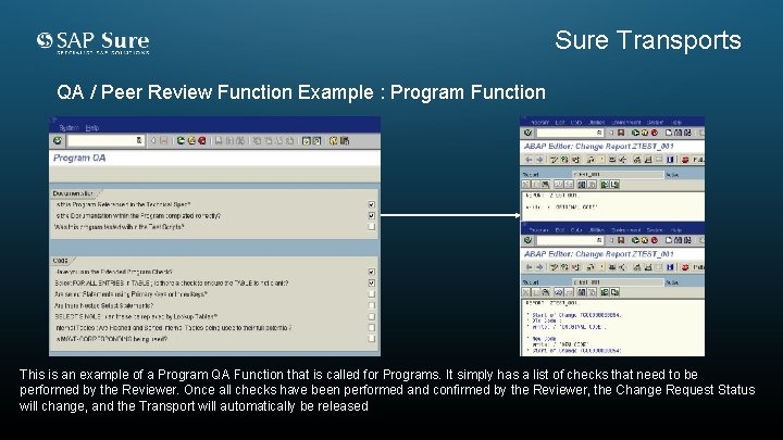 Sure Transports QA / Peer Review Function Example : Program Function This is an