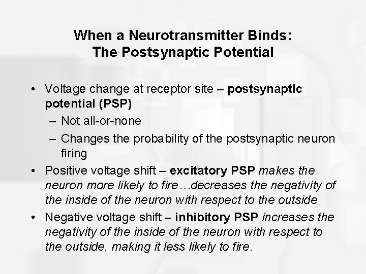 When a Neurotransmitter Binds: The Postsynaptic Potential • Voltage change at receptor site –