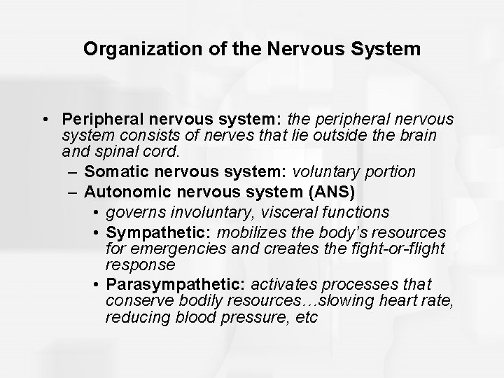 Organization of the Nervous System • Peripheral nervous system: the peripheral nervous system consists